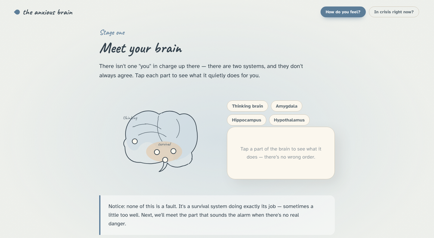 Anxiety Toolkit screen showing an illustrated brain diagram labelled thinking brain, amygdala, hippocampus and hypothalamus