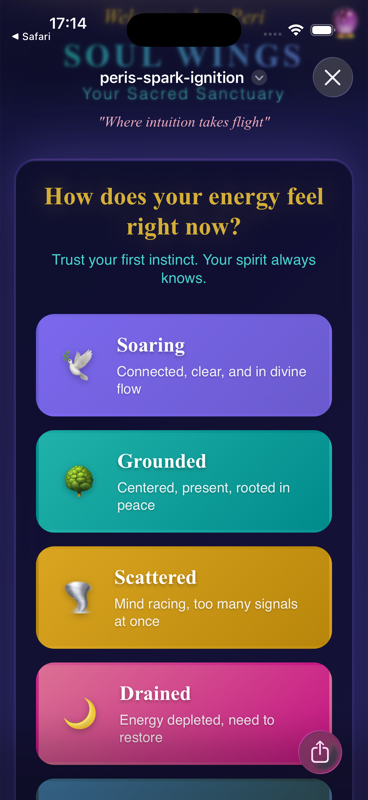 Soul Wings screenshot