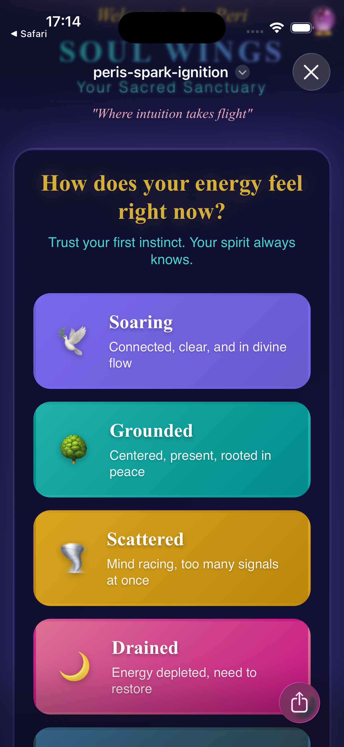 Soul Wings screenshot